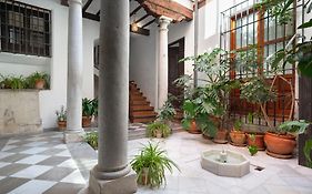 Charming Spacious Albayzin Apartment